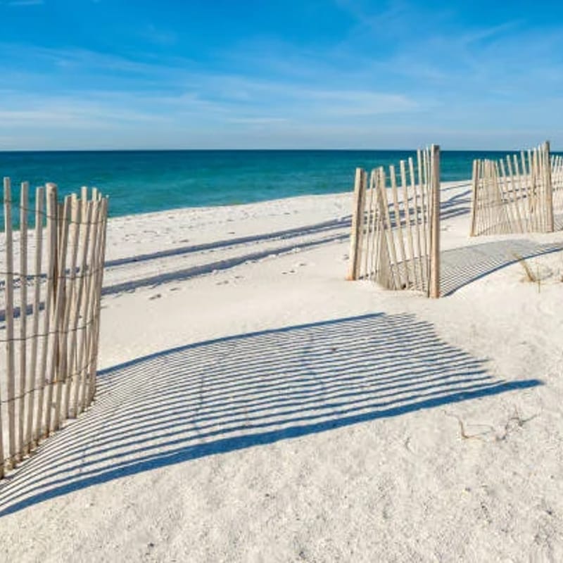 Coastal Harmony- Close To Shopping, OWA, Sports Plex, Minutes From Beach!